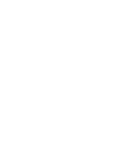 Business IT Support